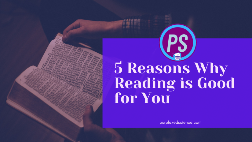 5 reasons why reading is good for you 2
